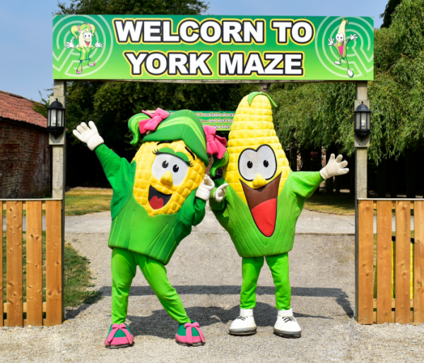 YORK MAZE - HALF-PRICE DEAL FOR 4 PEOPLE